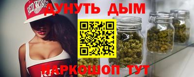 индика Усть-Джегута