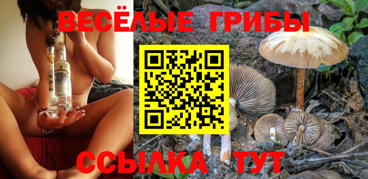 Галлюциногенные грибы Psilocybe  Вход с VPN  Борзя  Псилоцибиновые грибы GOLDEN TEACHER 