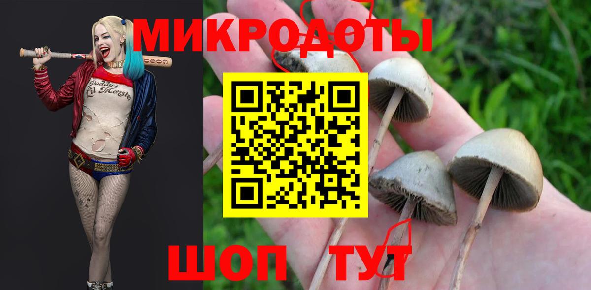 Псилоцибиновые грибы GOLDEN TEACHER Борзя